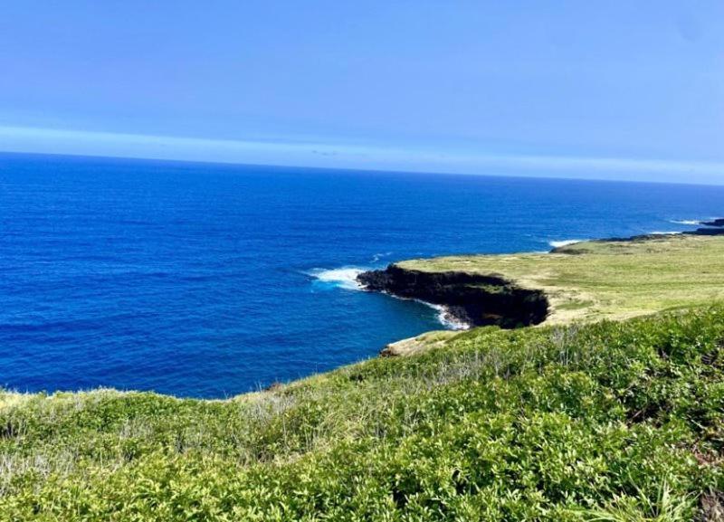 Charming 1 Bedroom Beach Condo Prime Location Great Value Pahala Zewnętrze zdjęcie