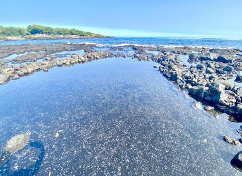 Charming 1 Bedroom Beach Condo Prime Location Great Value Pahala Zewnętrze zdjęcie