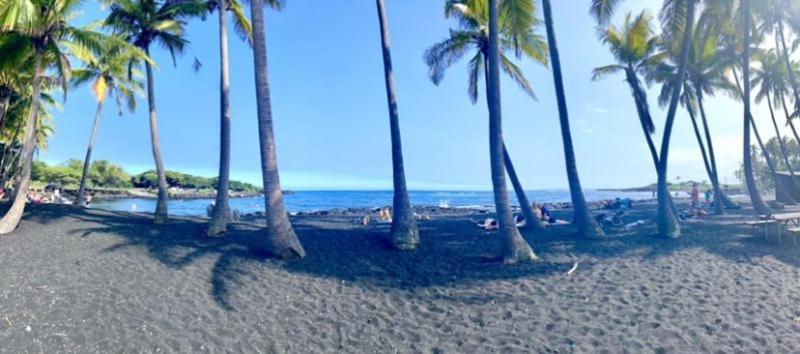 Charming 1 Bedroom Beach Condo Prime Location Great Value Pahala Zewnętrze zdjęcie